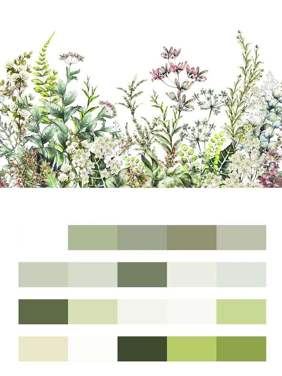 Душистые травы  9-1725