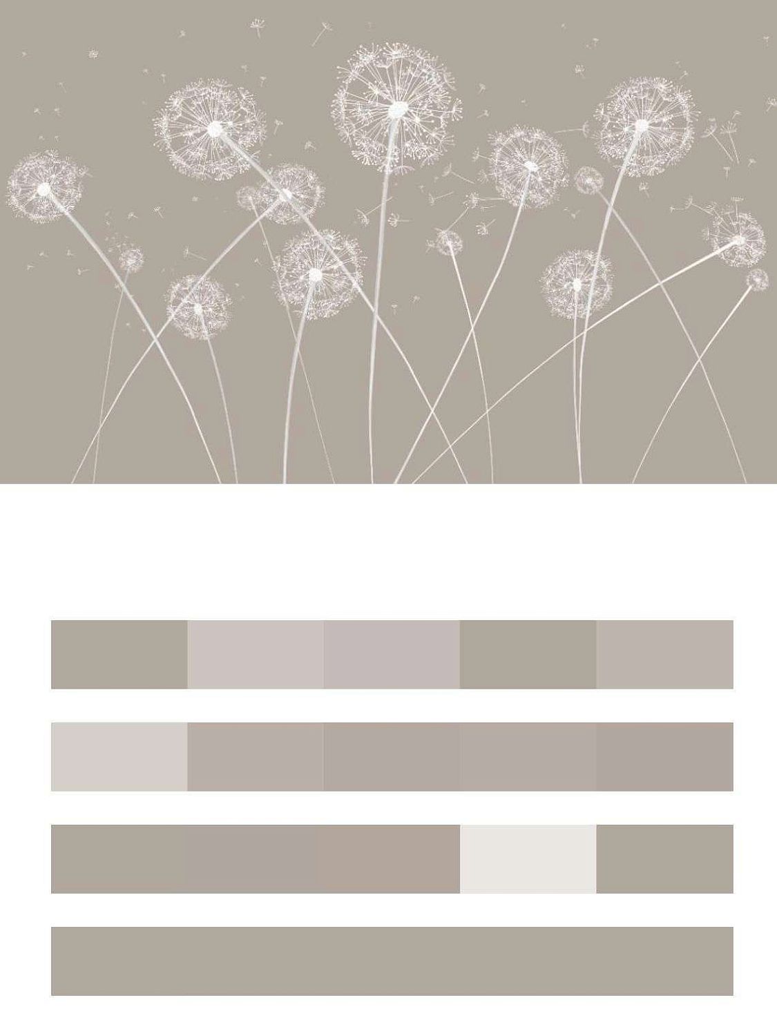 Одуванчики на бежевом фоне  14-524