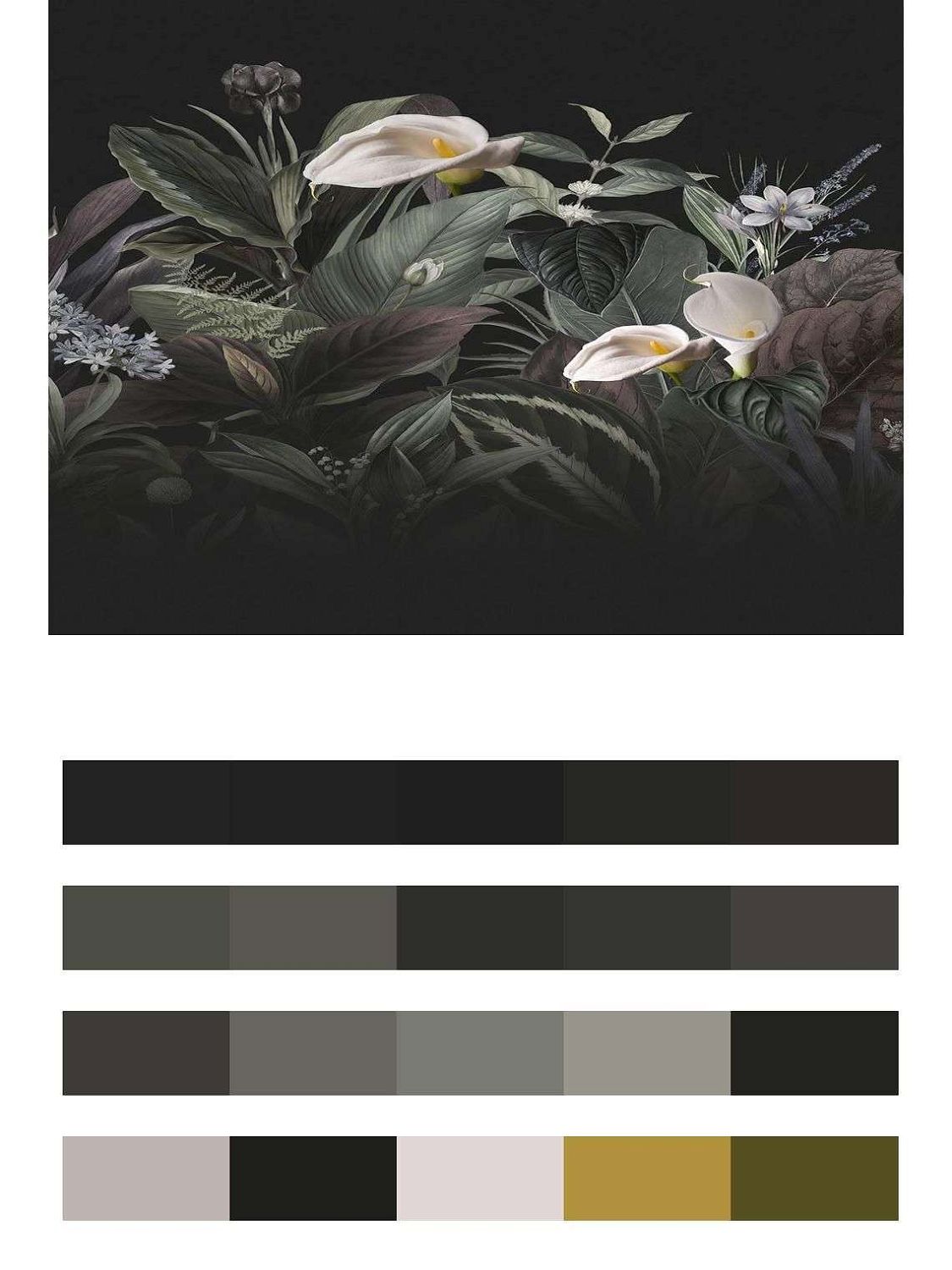 Каллы на черном фоне  14-496