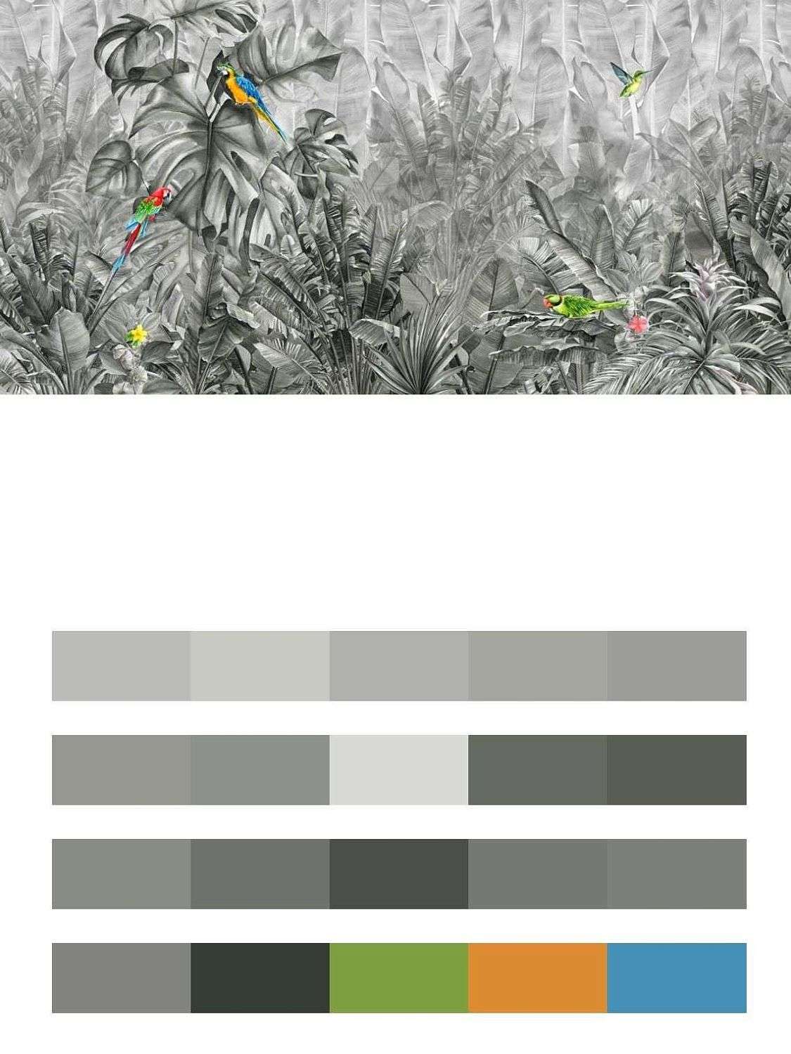 Тропики в серых тонах  14-137