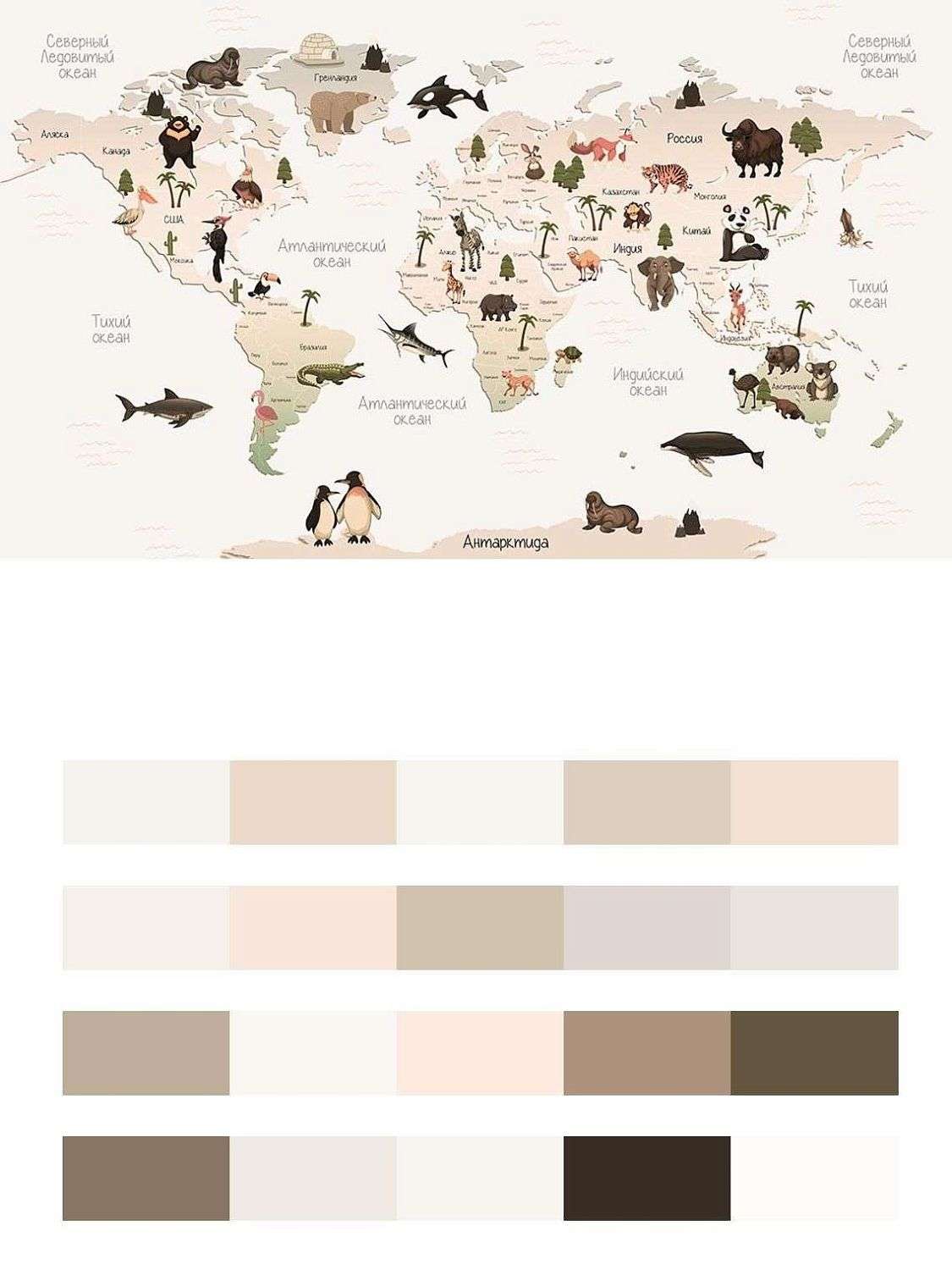 Светлая карта мира  12-1151