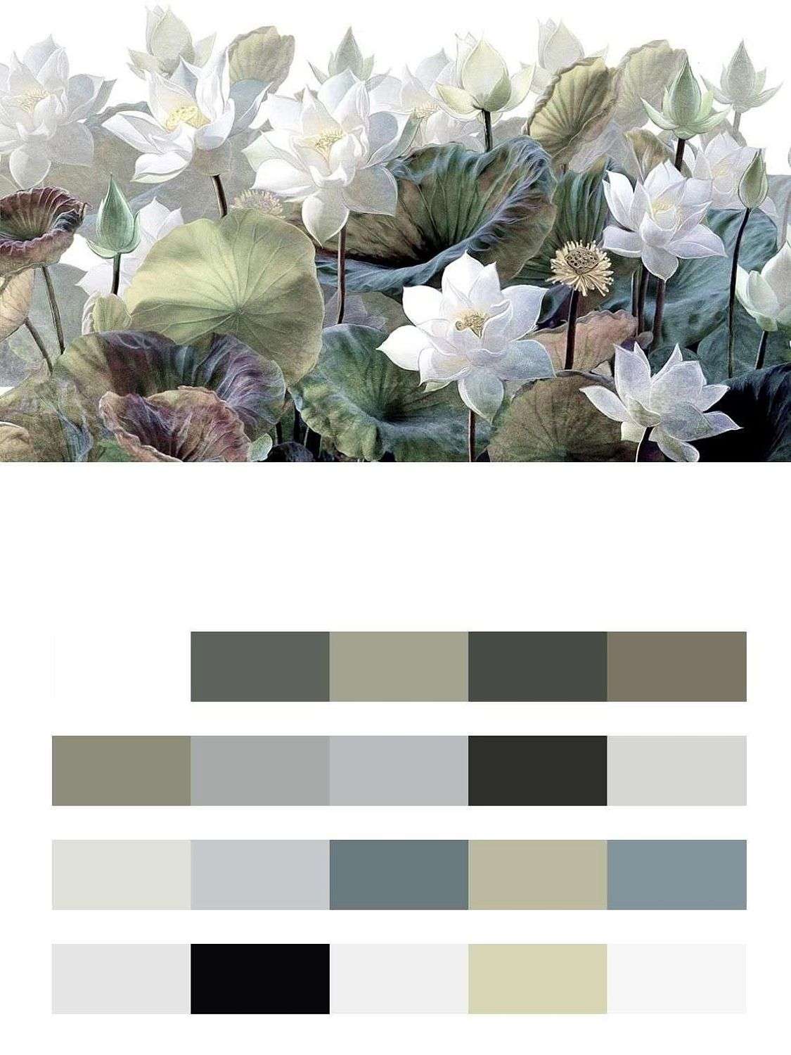 Лотосы на белом фоне  9-1637