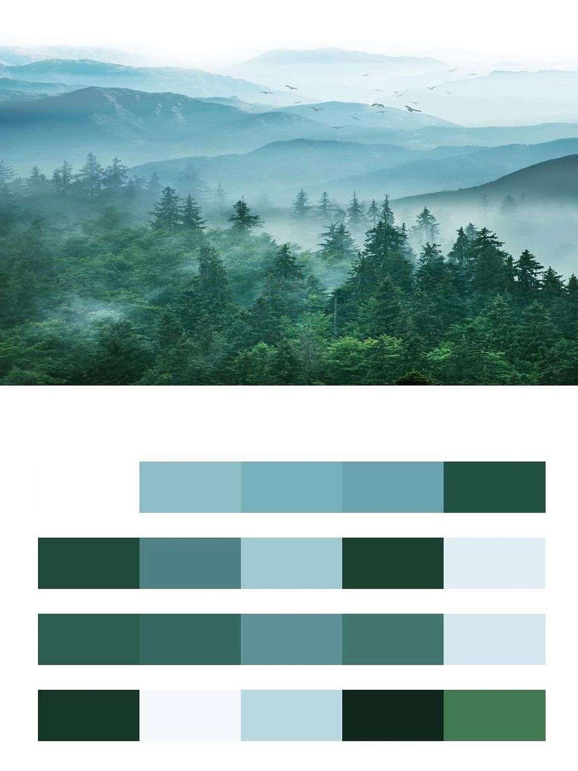 Горы в тумане  13-503