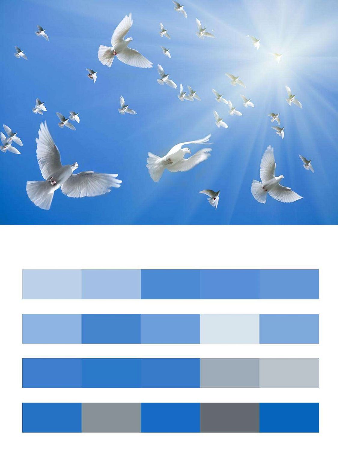 Стая птиц на небе  9-370