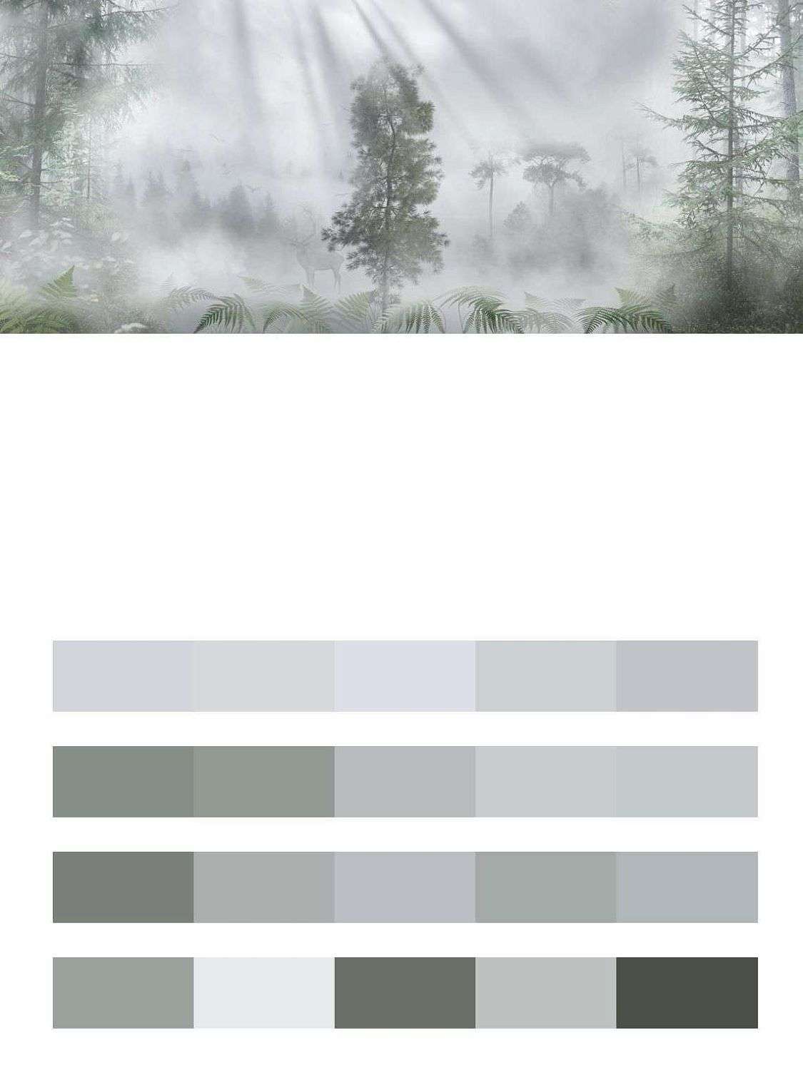 Лучи солнца в туманном лесу  13-465