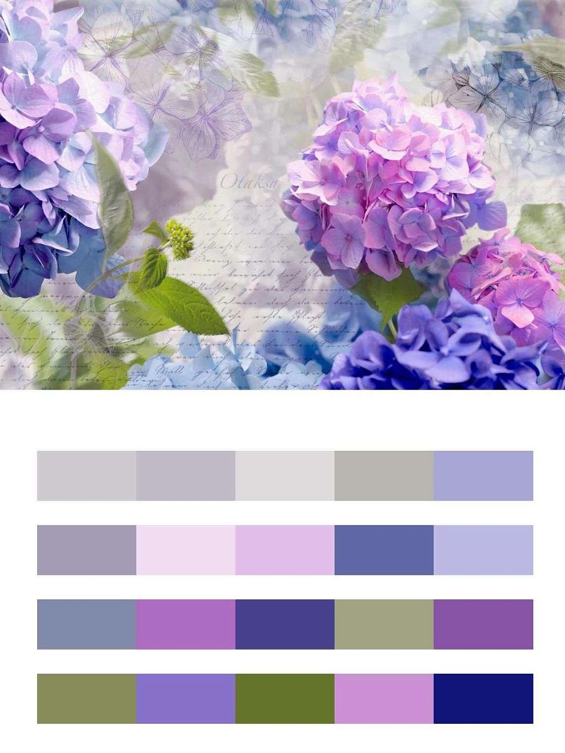 Цветы гортензия  9-1433