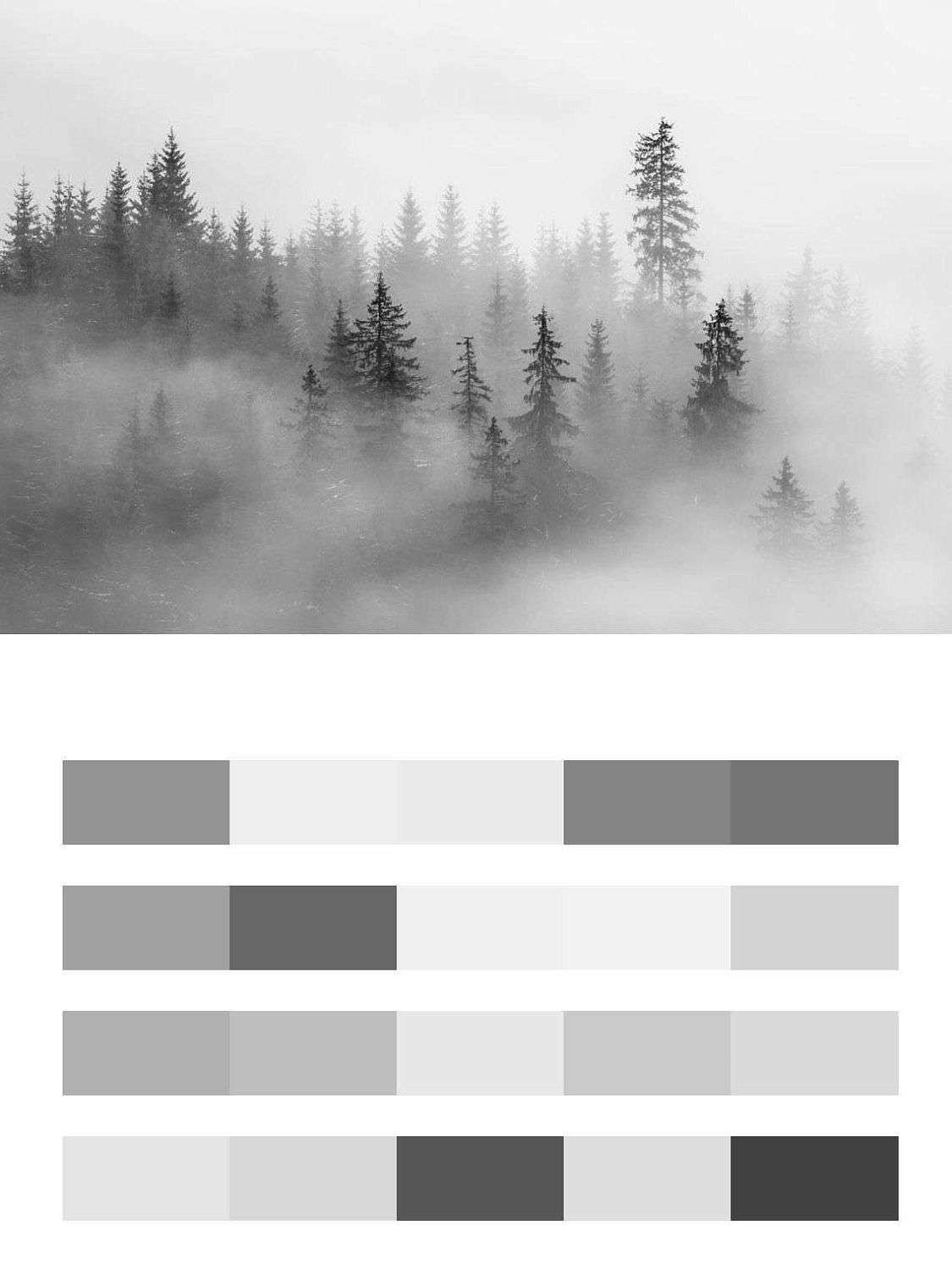 Серый лес в тумане  9-972