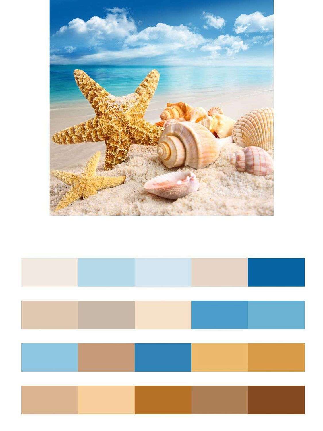 Ракушки на фоне моря  9-266