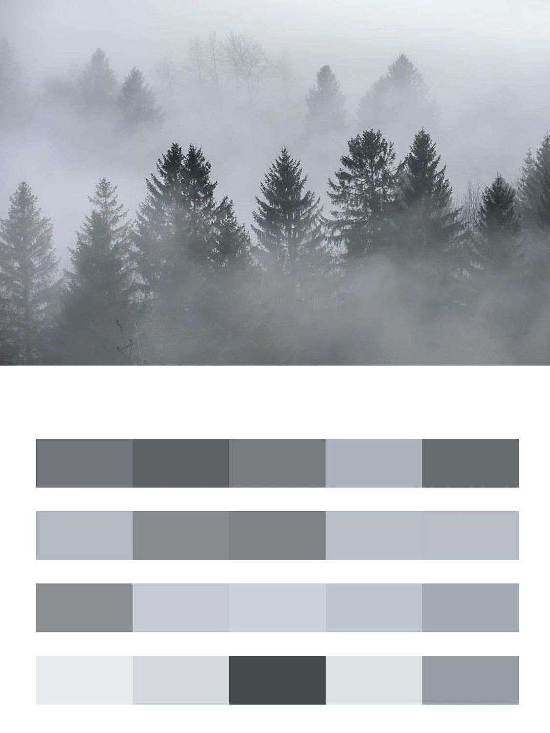 Туманное утро в лесу  9-1165