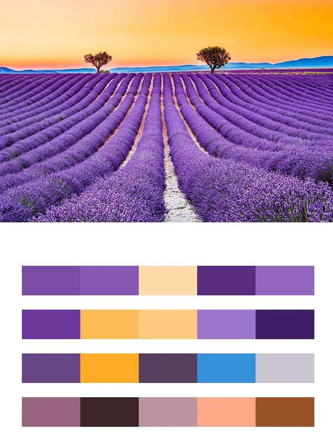 Закат в лавандовых полях  9-1734