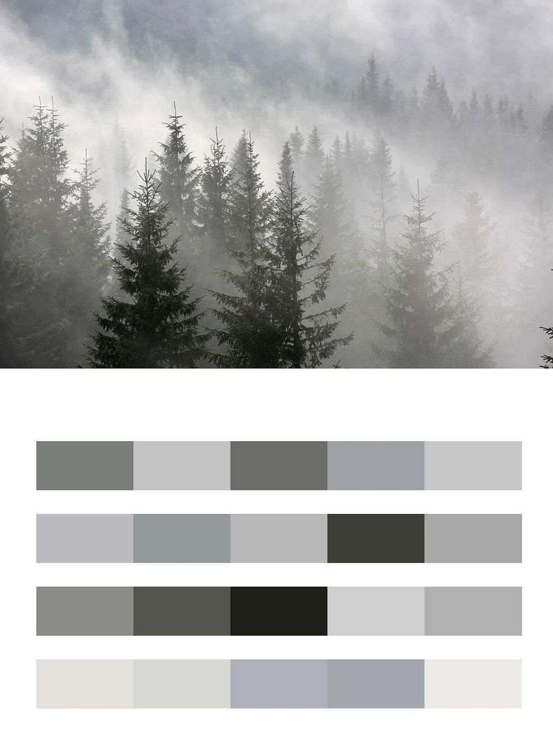 Туманный рассвет  9-1167