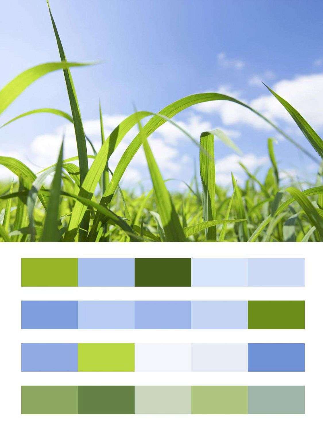 Сочная зеленая трава и небо  9-404