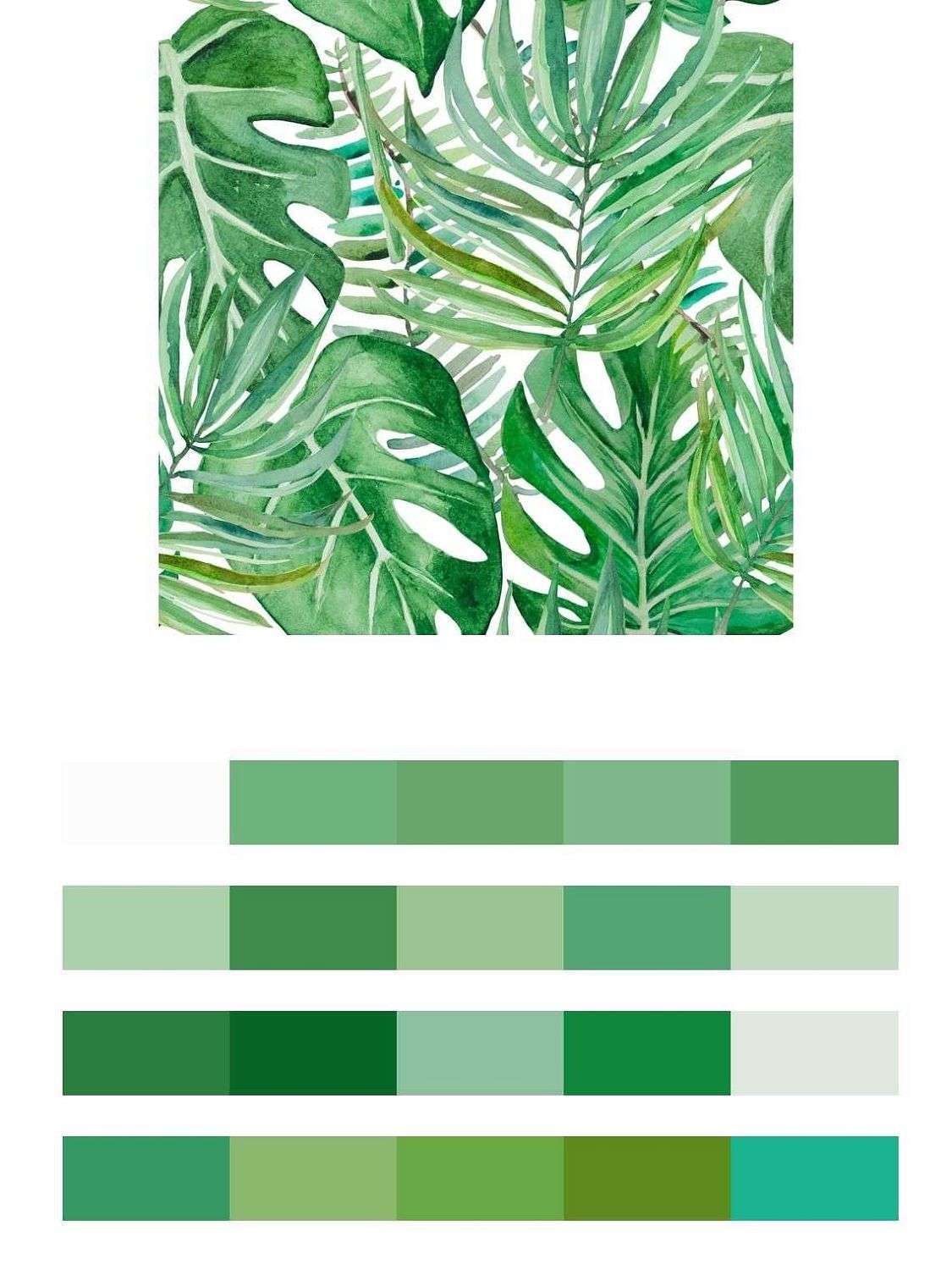 Листья монстеры фон  9-1209