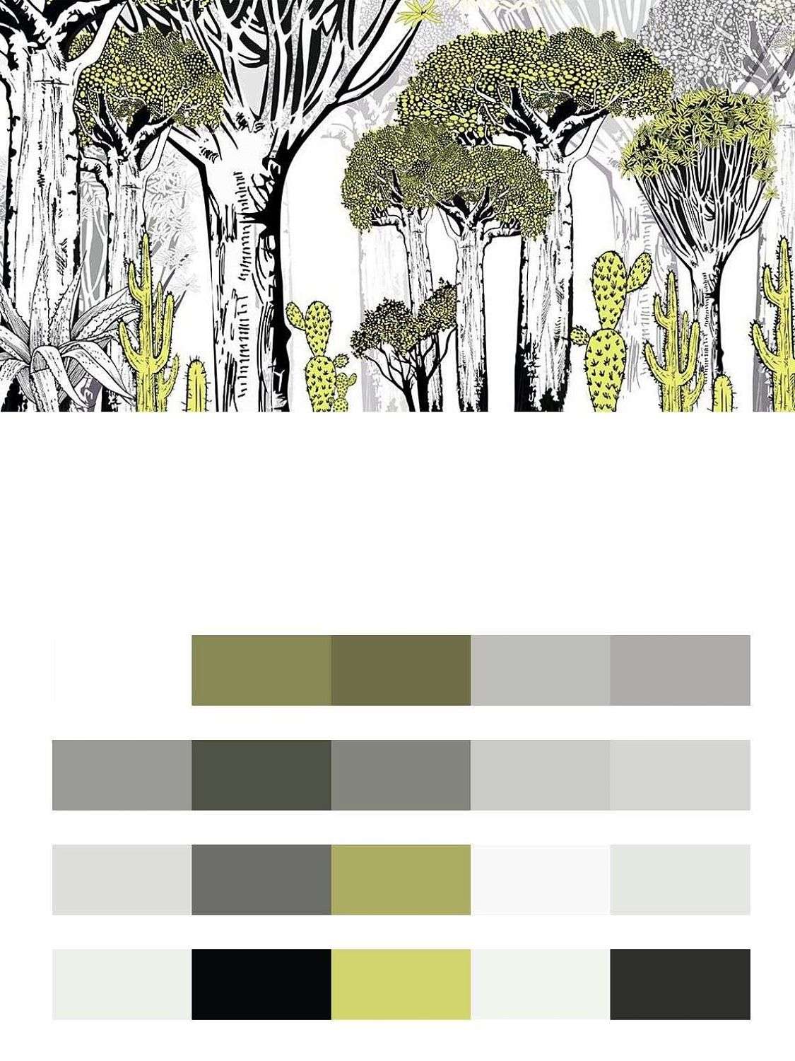 Баобабы и кактусы  12-1517