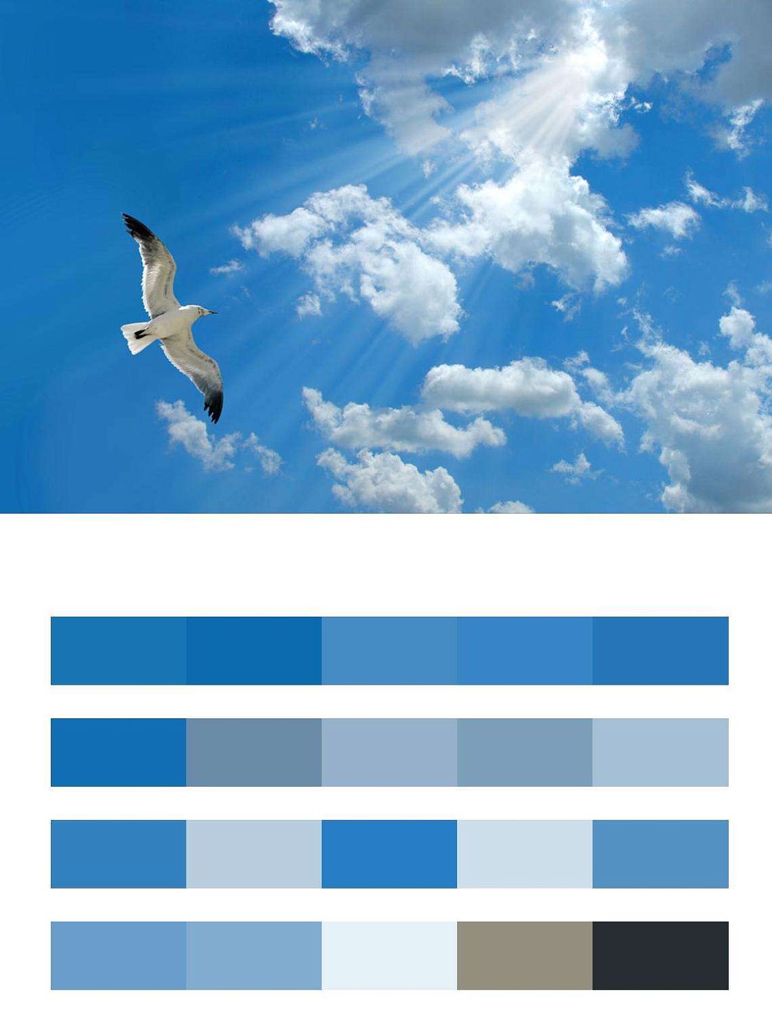 Птица в пространстве неба  9-369