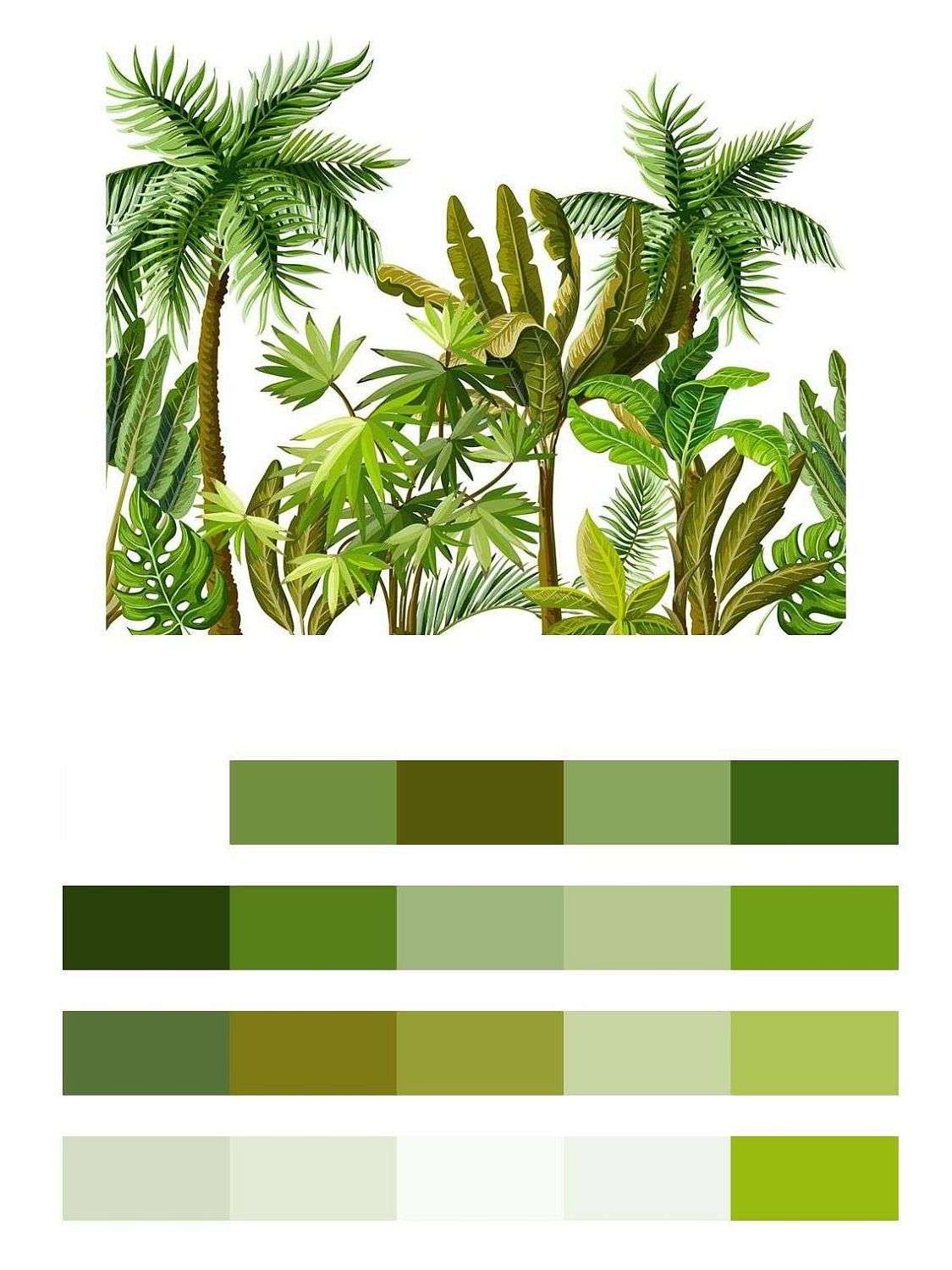 Пальмы на белом фоне  9-1640