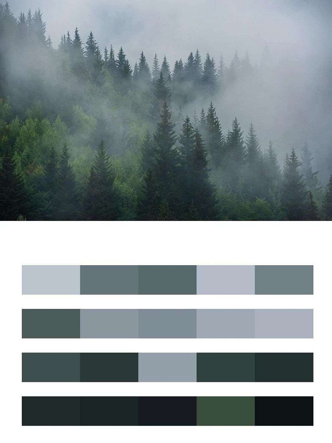 в спальню Туманные лес утром  9-1858