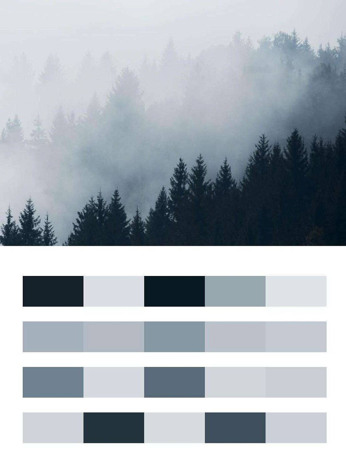 Пейзажи в тумане  9-1169