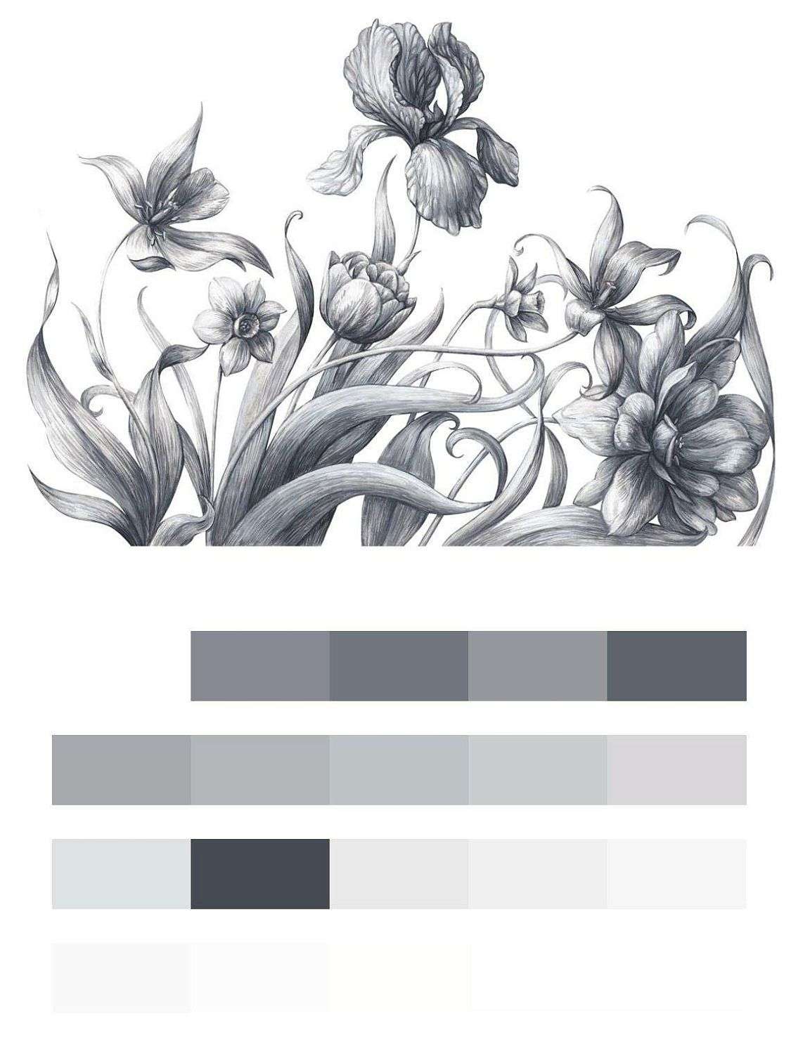 Черно белые ирисы  9-124