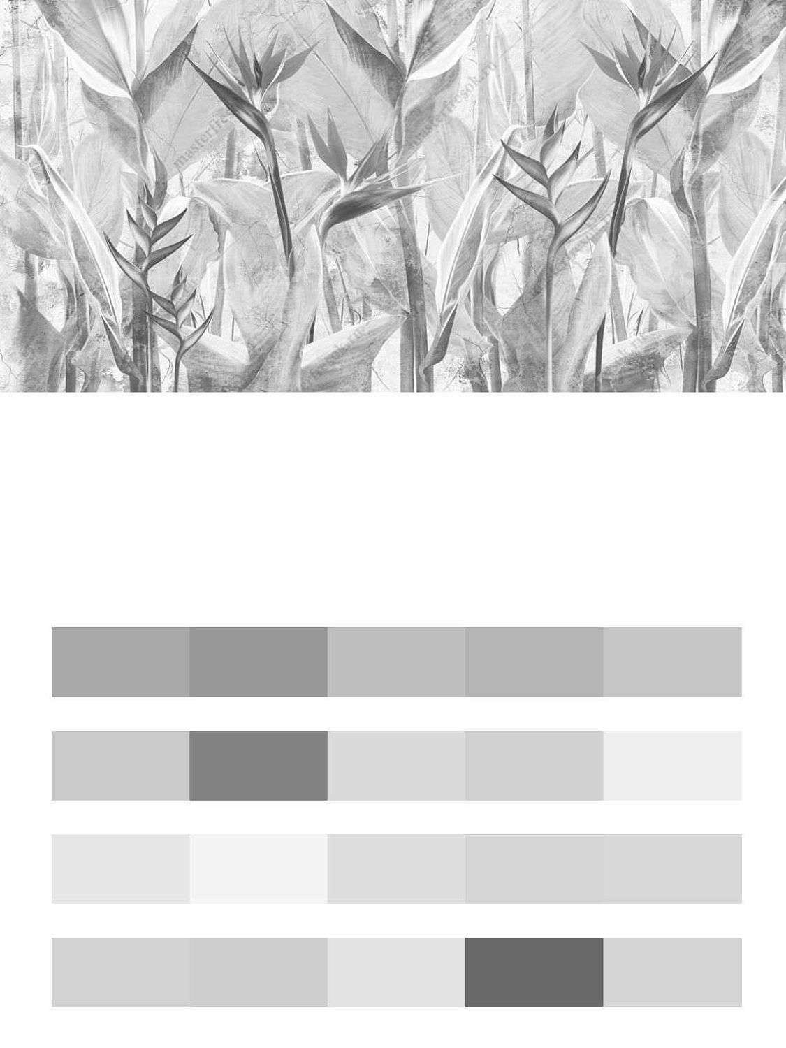 Черно-белые тропические листья  10-959