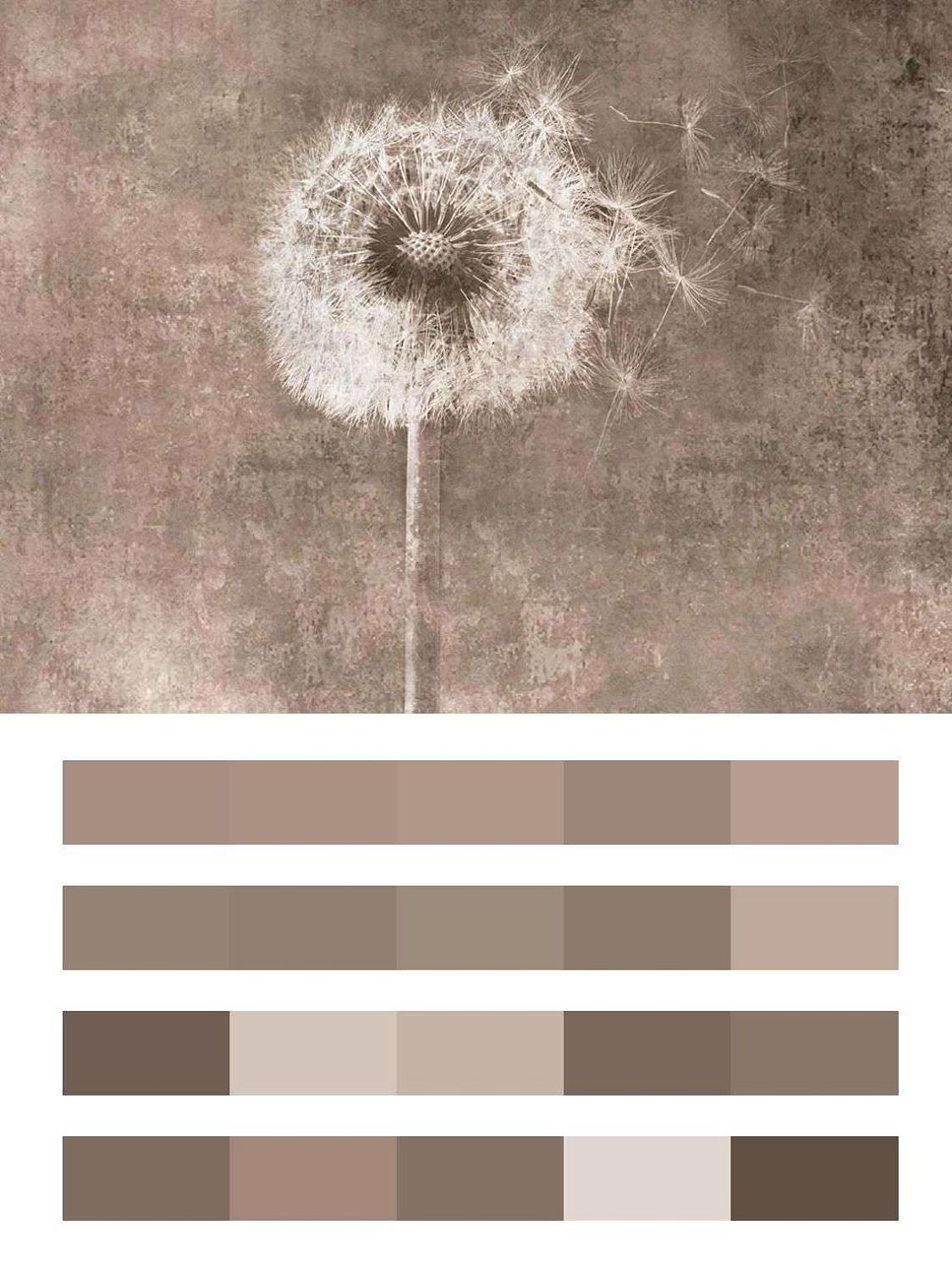 Одуванчик современный  10-883