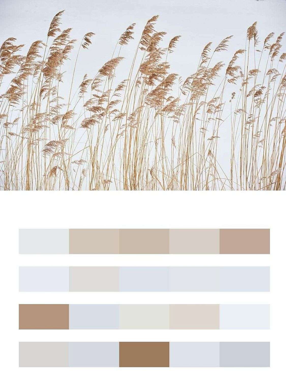 Колосья  9-1786