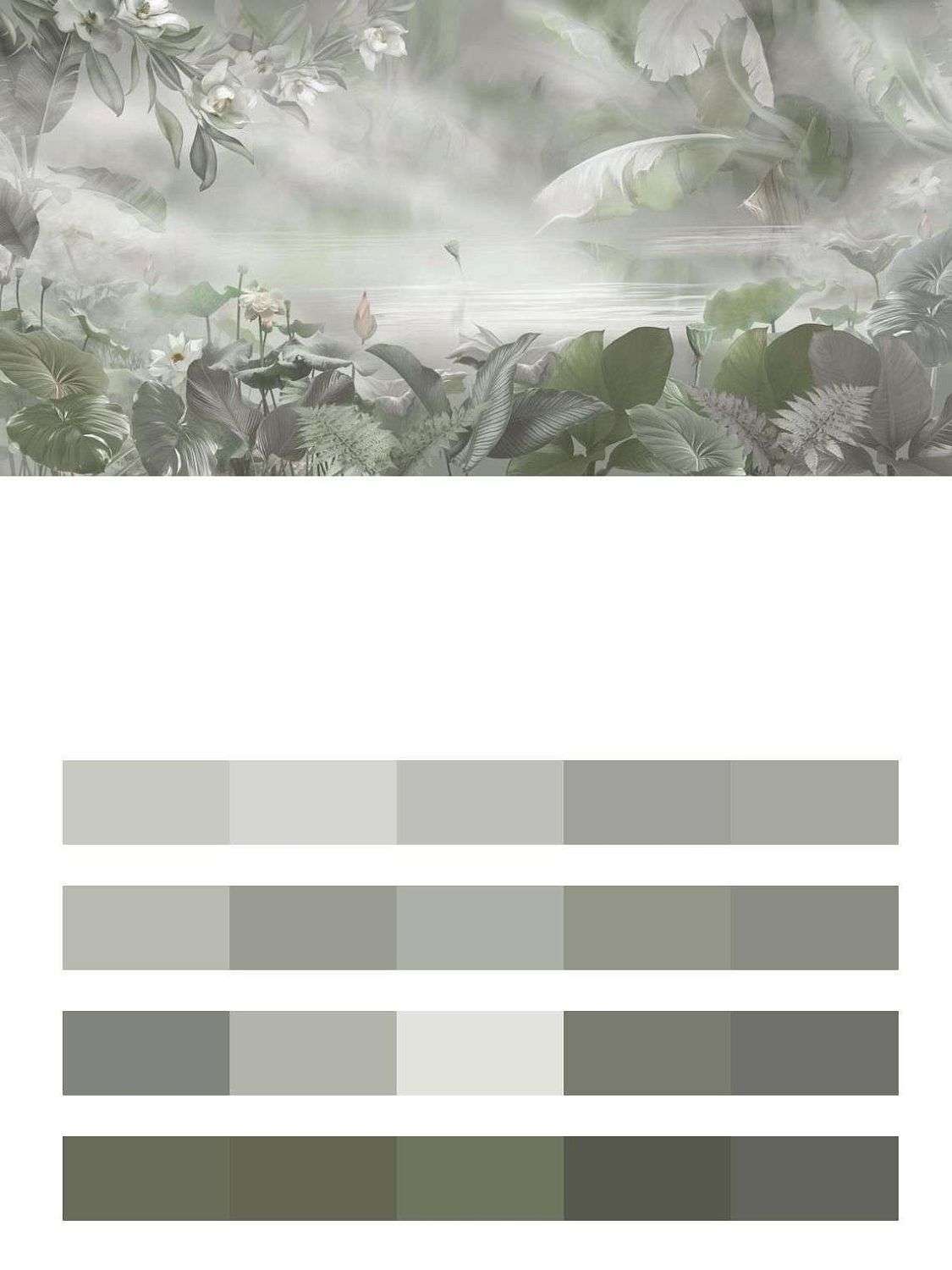 Тропический лес в тумане  13-470