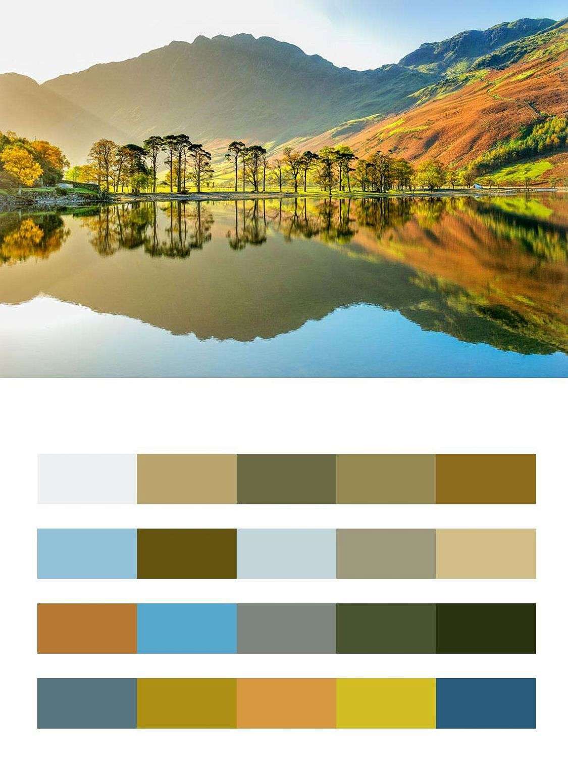 Англия роскошная  9-595