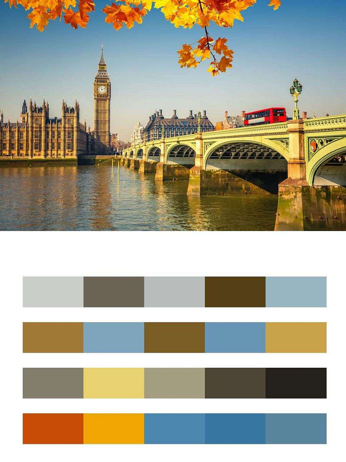 Желтая листва в Лондоне  9-502