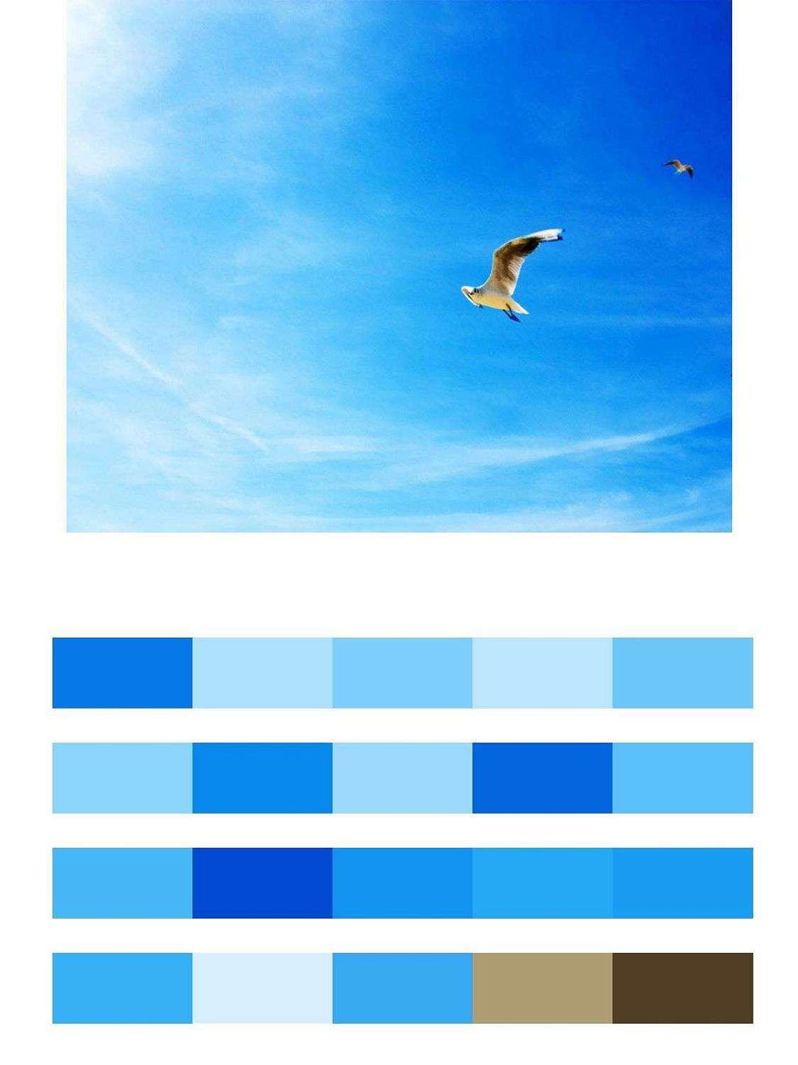 Птицы в небе  9-401