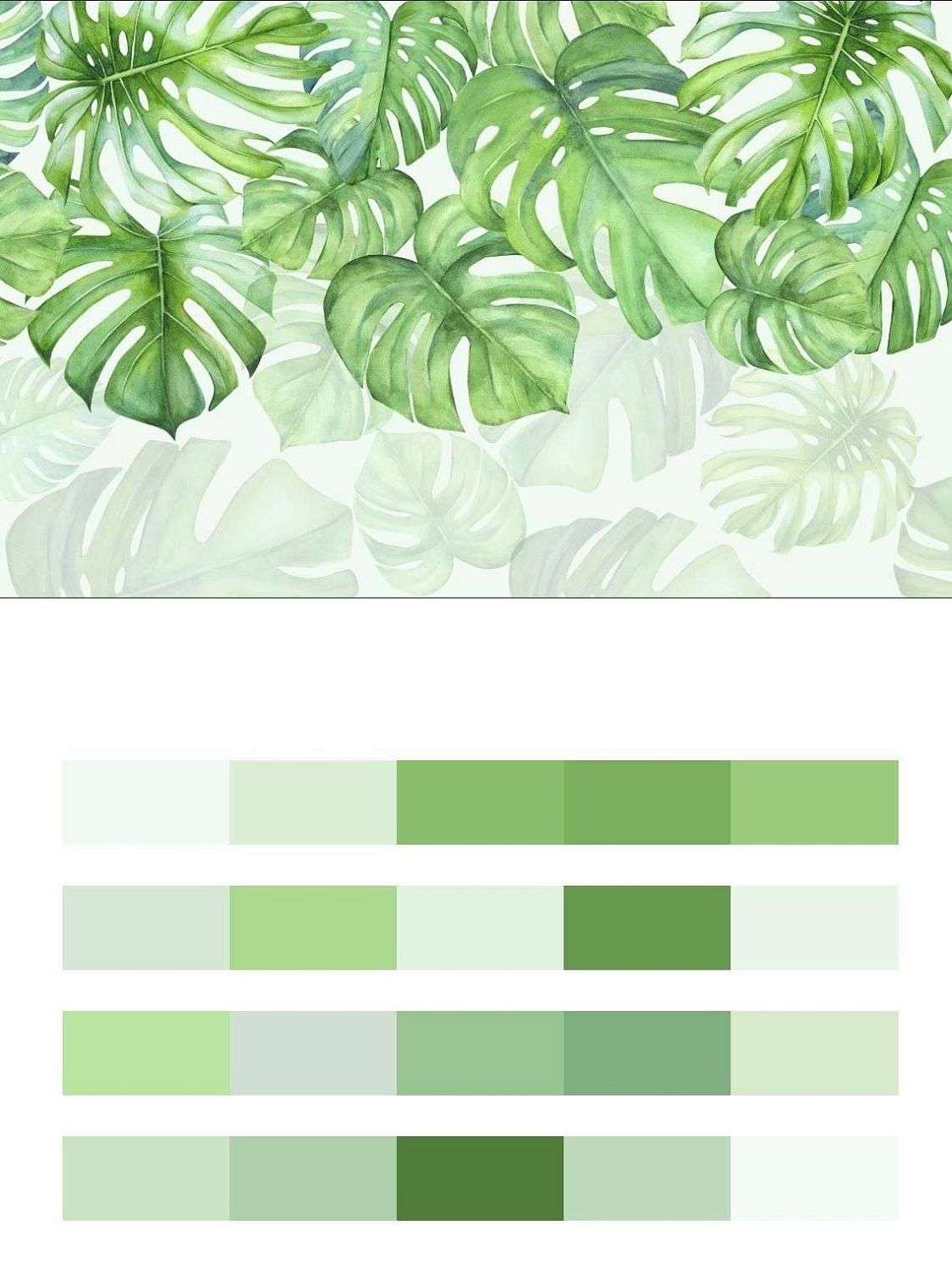 Листья монстеры  9-1667