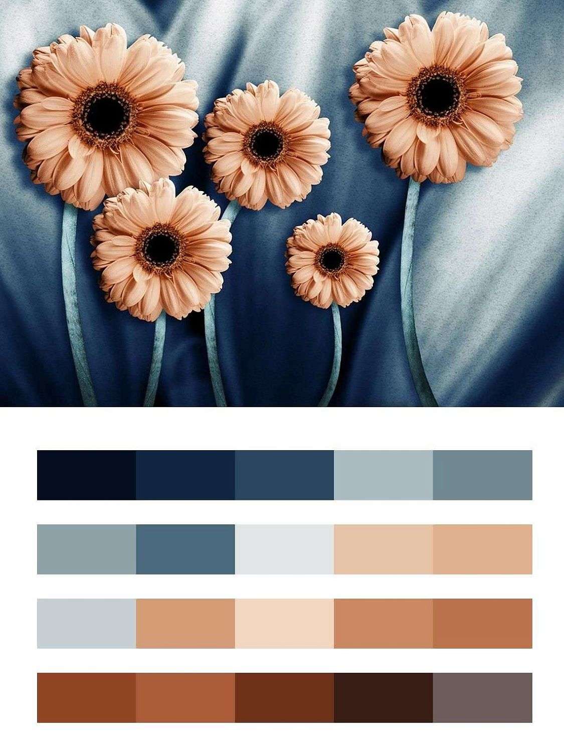 Герберы  9-1735