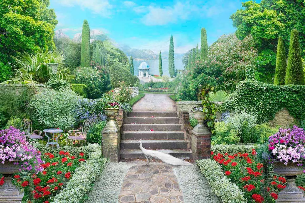 Фотообои в интерьере павлин в парке  7-333 фото