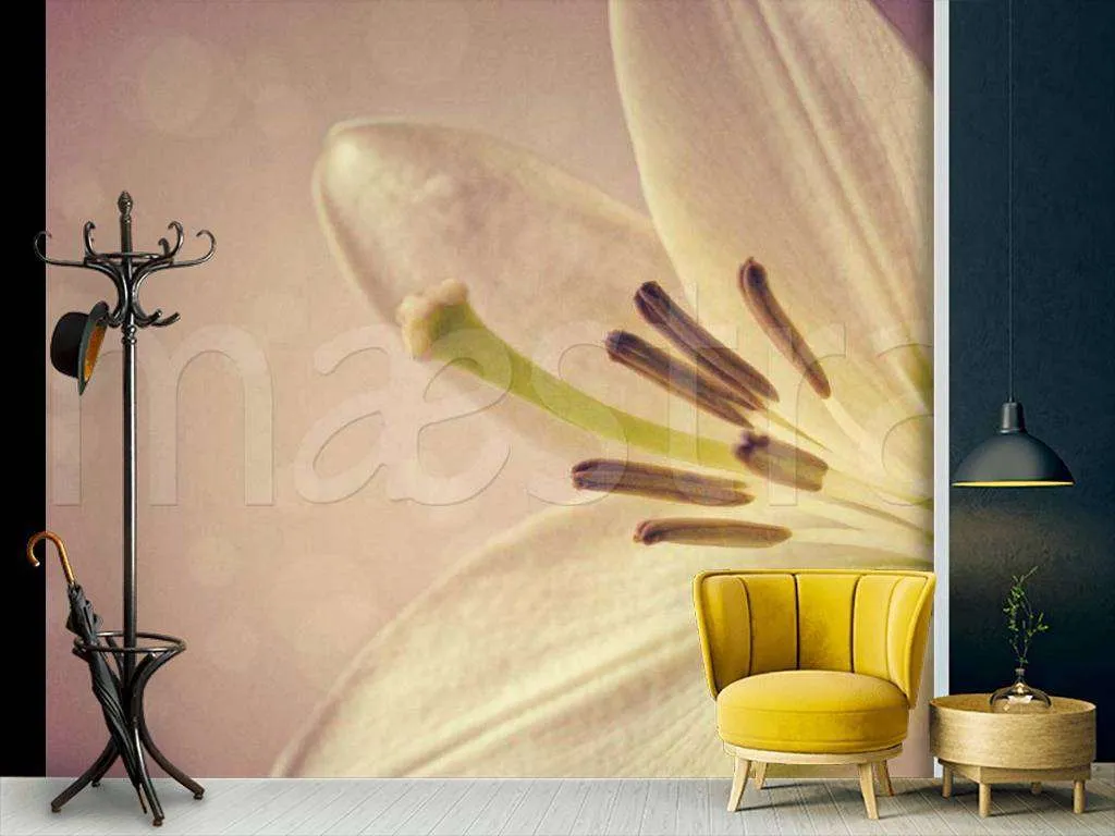 Фотообои Нежная лилия  9-077