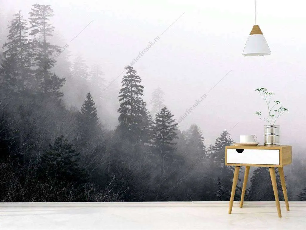 Фотообои в интерьере красота тумана  9-1162 фото