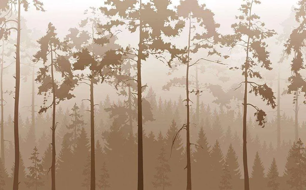 Фотообои в интерьере силуэт леса  14-608 фото