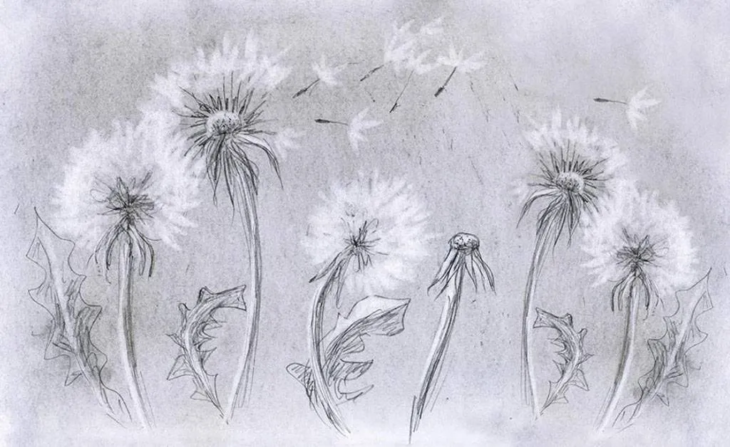 Фотообои в интерьере одуванчики летят  15-733 фото