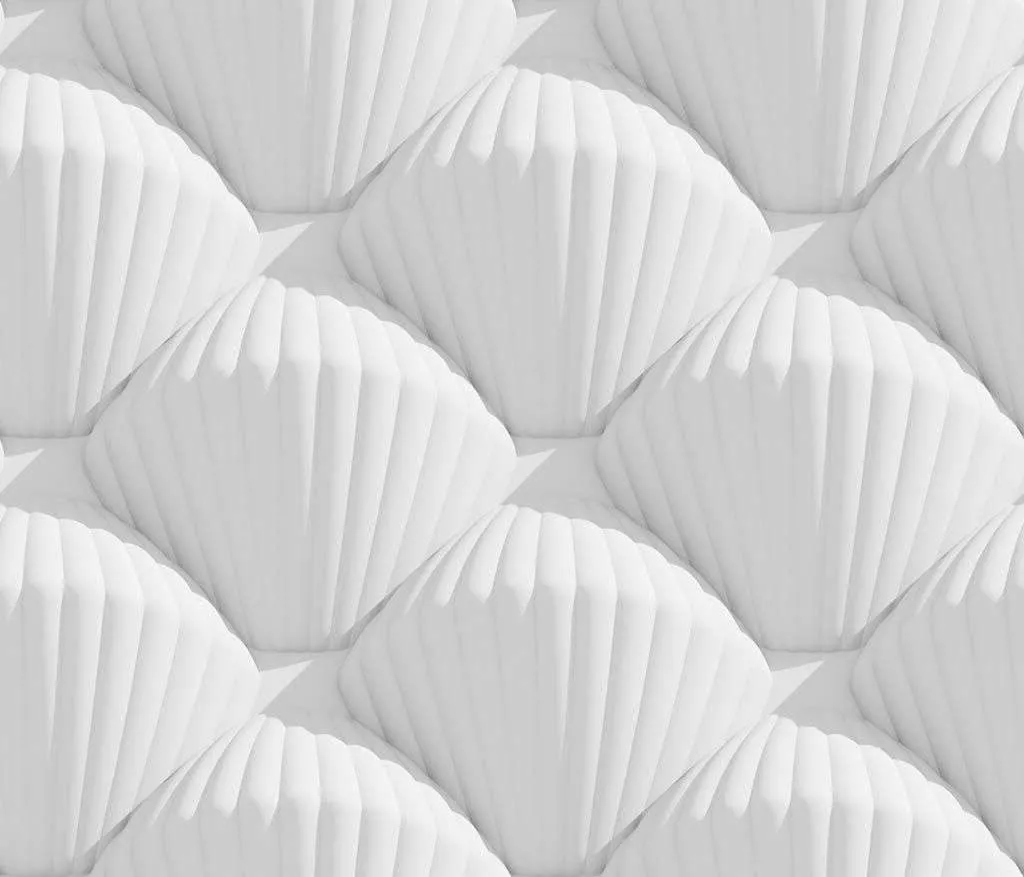 Фотообои в интерьере 3д белые ракушки  10-807 фото