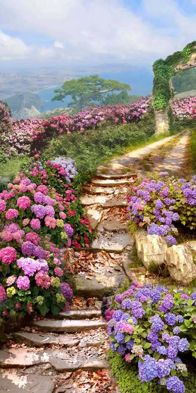 Фотообои в интерьере тропинка в горах  2-009 фото