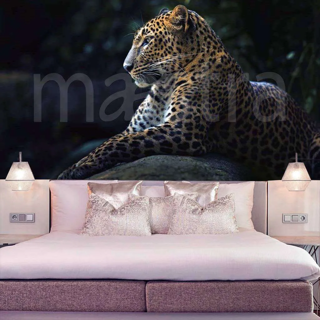 Фотообои Леопард на темном фоне  4-160