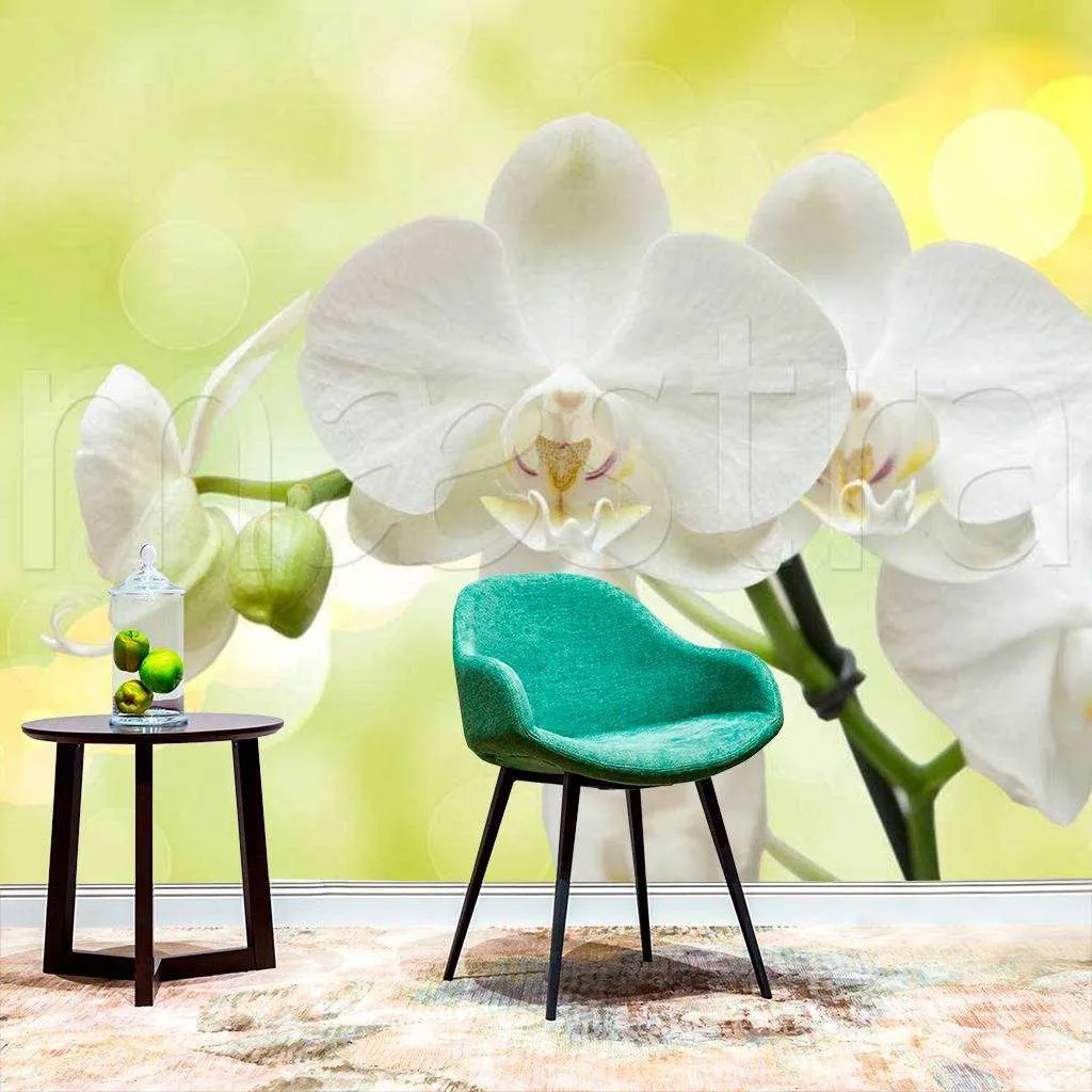 Фотообои Белая орхидея на зеленом фоне  10-184