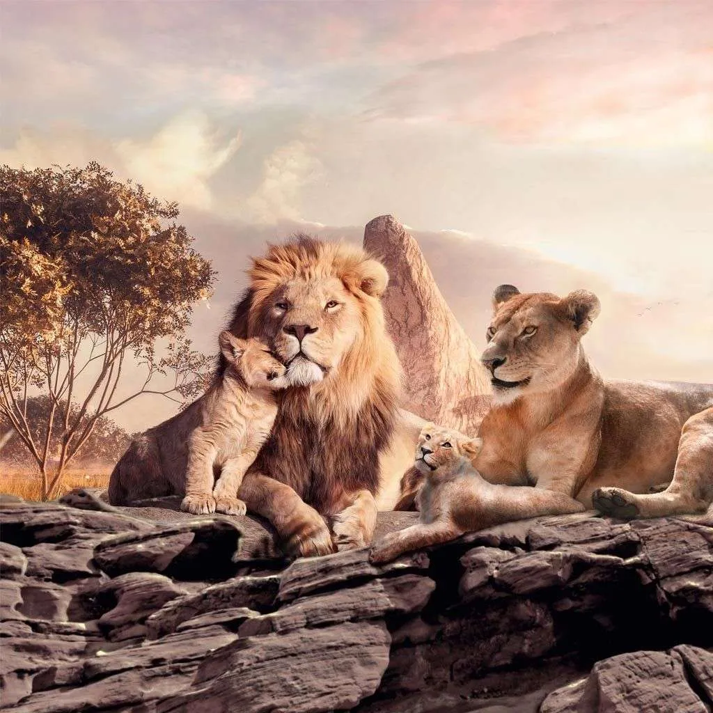 Фотообои в интерьере семейство львов  14-501 фото