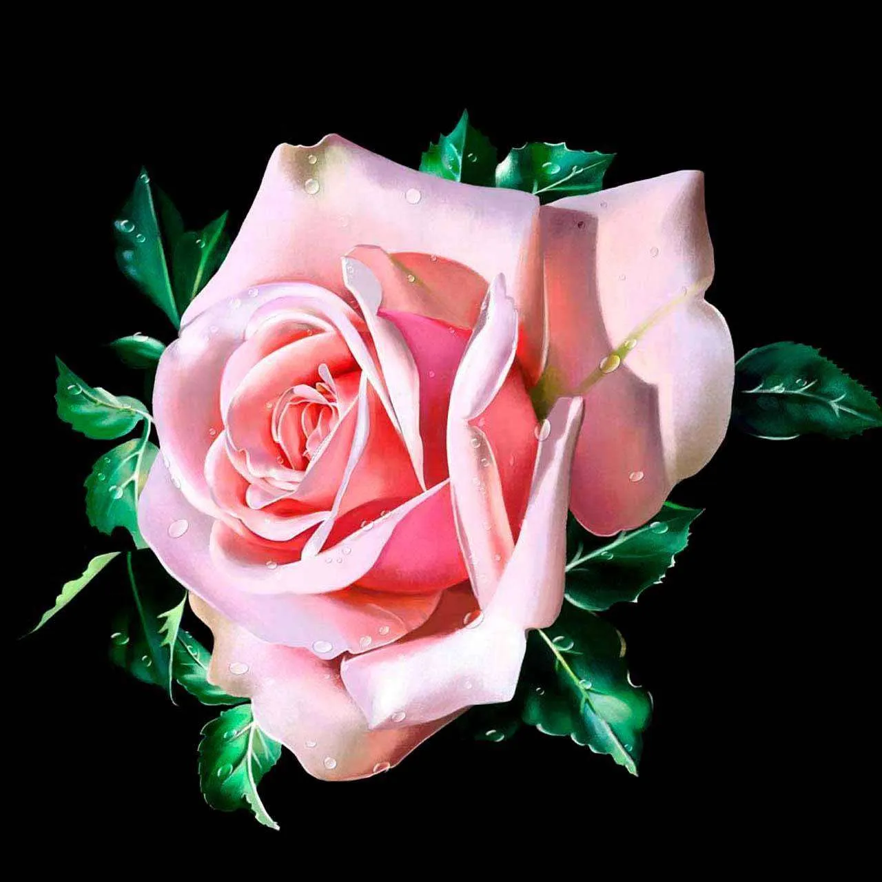 Фотообои в интерьере розовая роза на черном фоне  10-323 фото