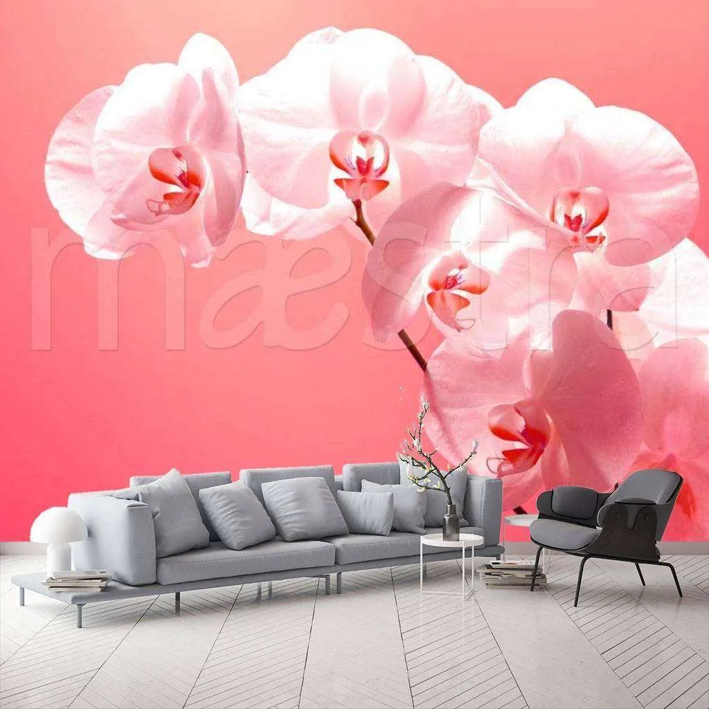Фотообои в интерьере нежная орхидея на розовом фоне  10-183 фото
