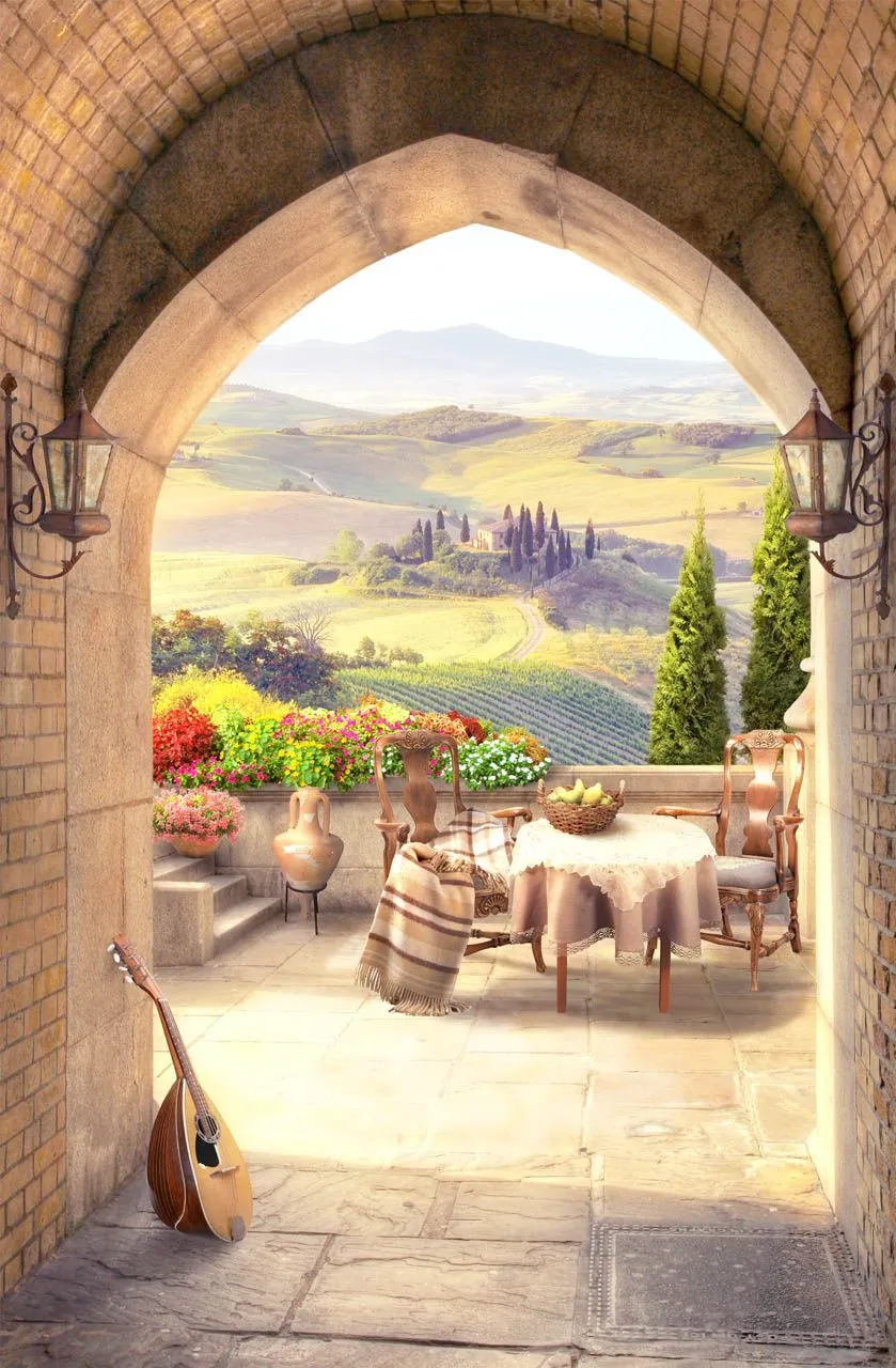 Фотообои в интерьере арка с видом на долину  19-0073 фото