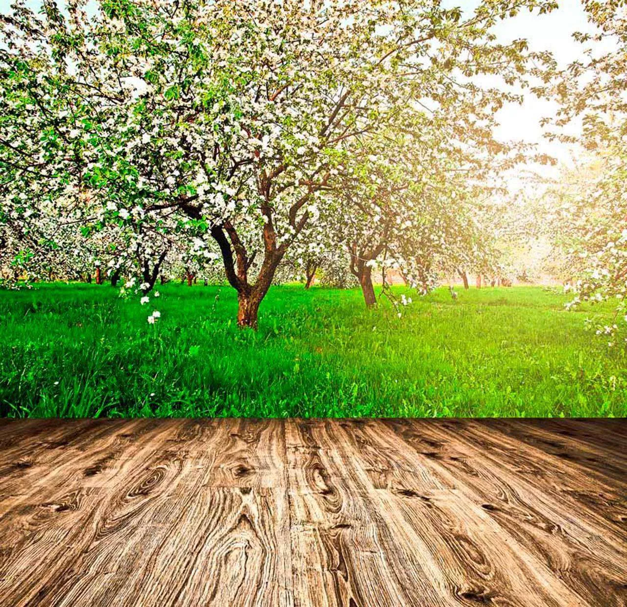 Фотообои в интерьере деревянная тропинка в цветущий парк  10-103 фото