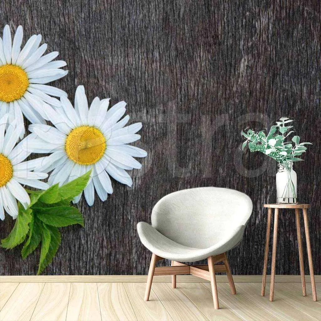 Фотообои Роскошные белые ромашки  10-347