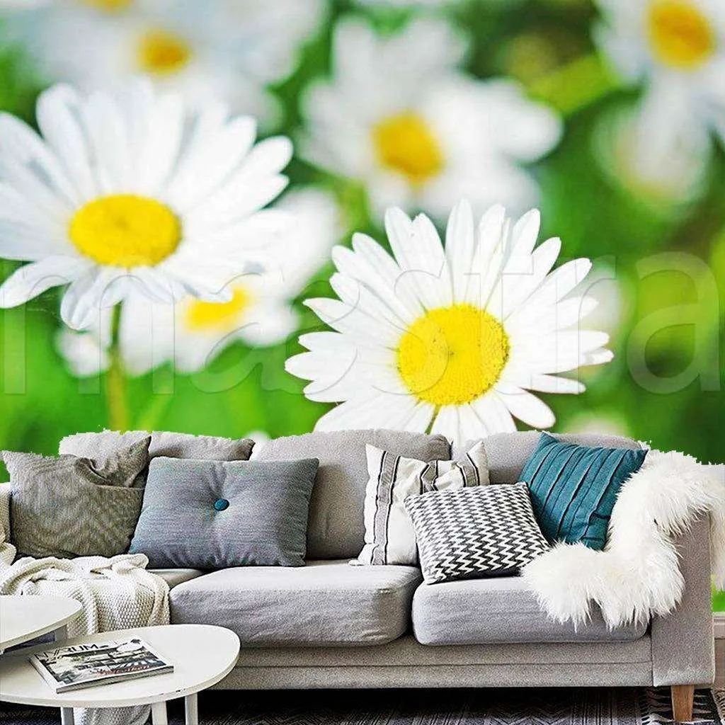 Фотообои Большие белые ромашки  10-351