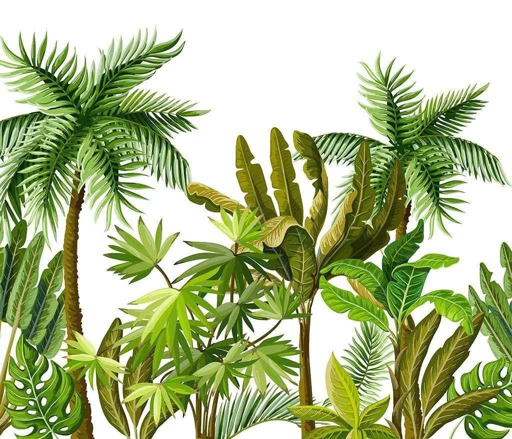 Фотообои в интерьере пальмы на белом фоне  9-1640 фото