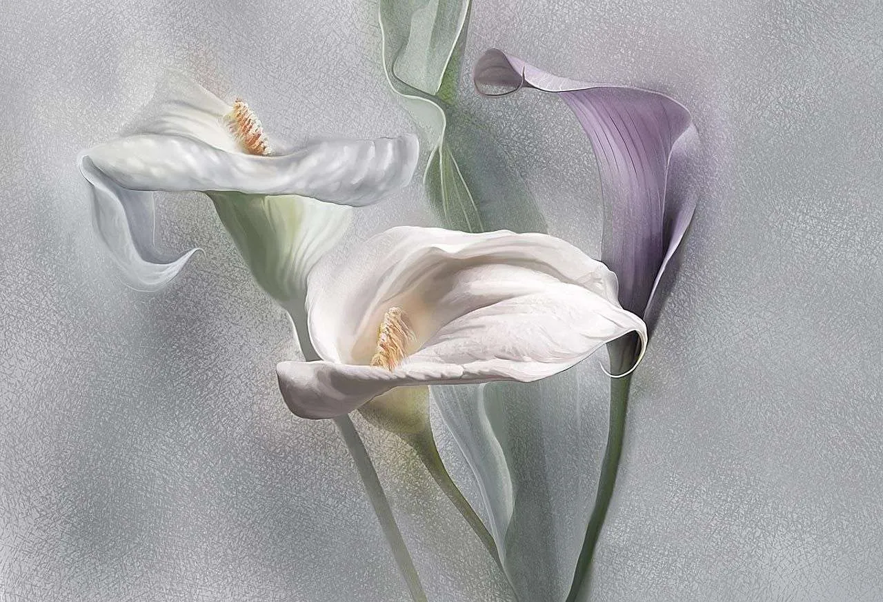 Фотообои в интерьере экибана с каллами  13-509 фото